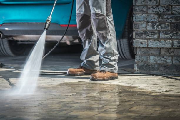 Best Gutter Cleaning  in Stanton, MI