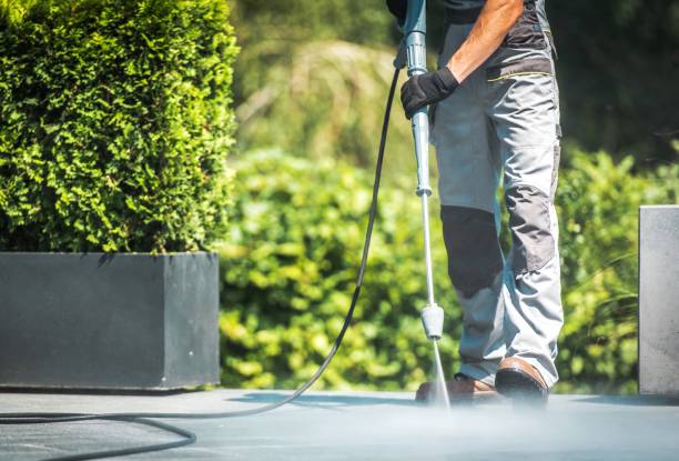 Best Pre-Holiday Cleaning  in Stanton, MI