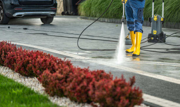 Best Gas Station Cleaning  in Stanton, MI