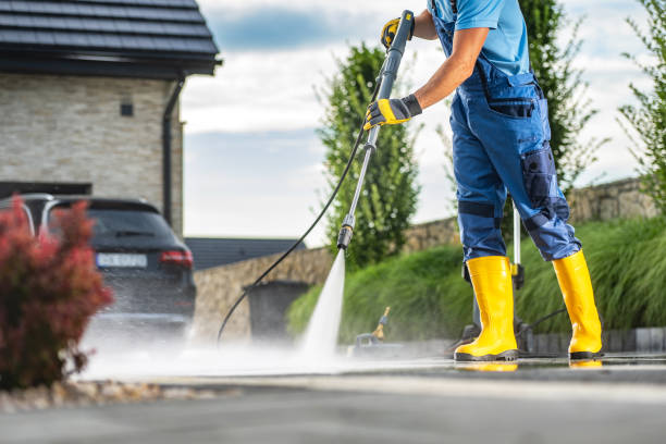 Best Solar Panel Cleaning  in Stanton, MI