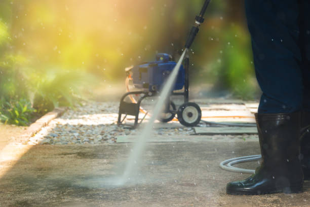 Best Dumpster Area Cleaning  in Stanton, MI